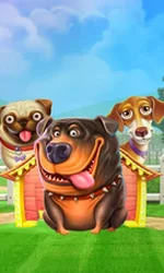The Dog House