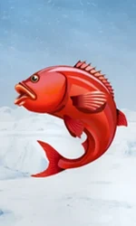 Ice Fishing